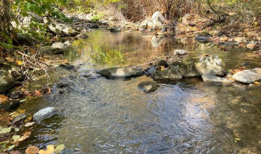Photo #1 of Hunting Creek Road, Big Island, VA 6.1 acres