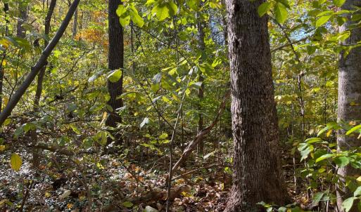 Photo #13 of Hunting Creek Road, Big Island, VA 6.1 acres