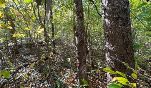 Photo #9 of Hunting Creek Road, Big Island, VA 6.1 acres