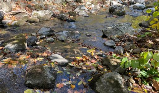 Photo #2 of Hunting Creek Road, Big Island, VA 6.1 acres