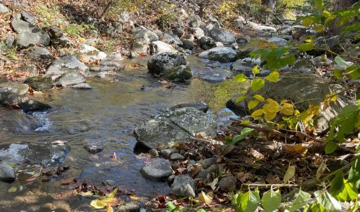 Photo #3 of Hunting Creek Road, Big Island, VA 6.1 acres