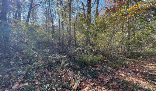 Photo #4 of Hunting Creek Road, Big Island, VA 6.1 acres