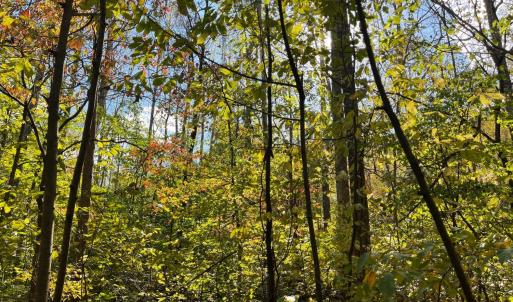 Photo #12 of Hunting Creek Road, Big Island, VA 6.1 acres