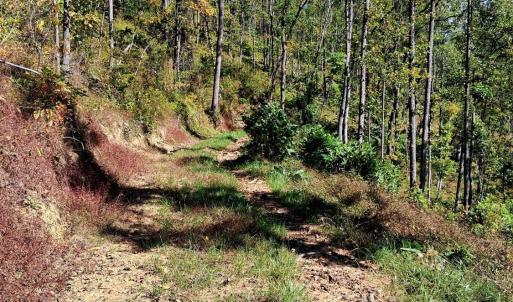 Photo #11 of Mount Horeb Road, Amherst, VA 60.6 acres