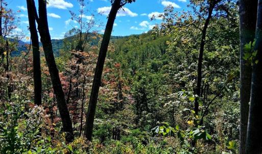 Photo #6 of Mount Horeb Road, Amherst, VA 60.6 acres