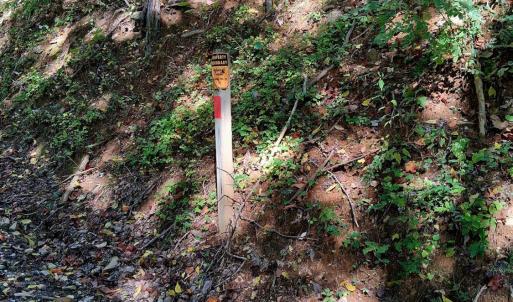 Photo #22 of Mount Horeb Road, Amherst, VA 60.6 acres