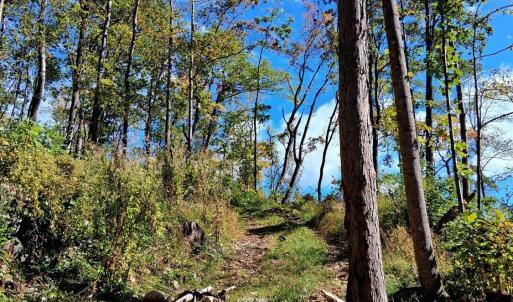 Photo #14 of Mount Horeb Road, Amherst, VA 60.6 acres