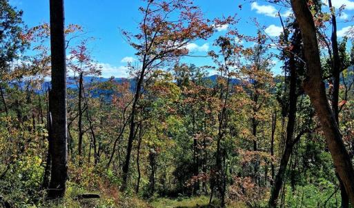 Photo #7 of Mount Horeb Road, Amherst, VA 60.6 acres