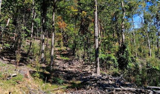 Photo #16 of Mount Horeb Road, Amherst, VA 60.6 acres