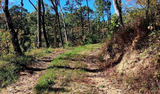 Photo #10 of Mount Horeb Road, Amherst, VA 60.6 acres