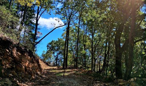 Photo #1 of Mount Horeb Road, Amherst, VA 60.6 acres