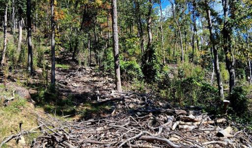 Photo #5 of Mount Horeb Road, Amherst, VA 60.6 acres