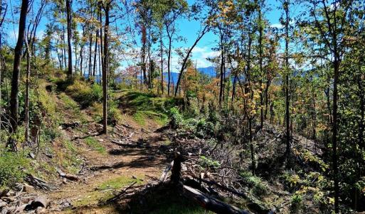 Photo #4 of Mount Horeb Road, Amherst, VA 60.6 acres