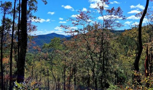 Photo #9 of Mount Horeb Road, Amherst, VA 60.6 acres