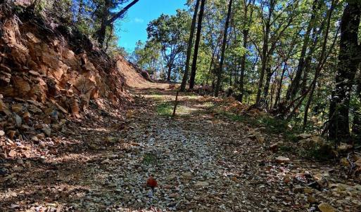 Photo #21 of Mount Horeb Road, Amherst, VA 60.6 acres