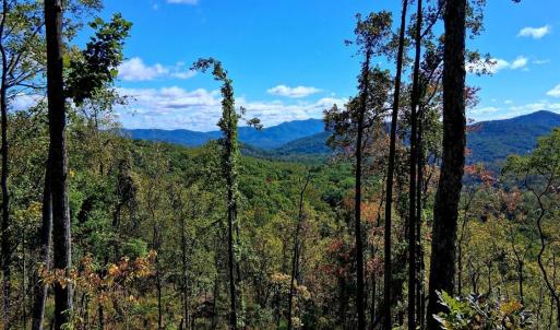 Photo #8 of Mount Horeb Road, Amherst, VA 60.6 acres