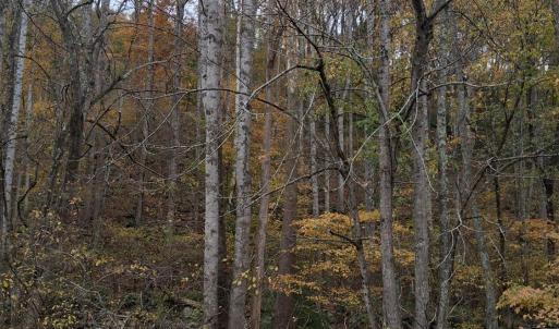 Photo #1 of North Fork, Amherst, VA 37.9 acres