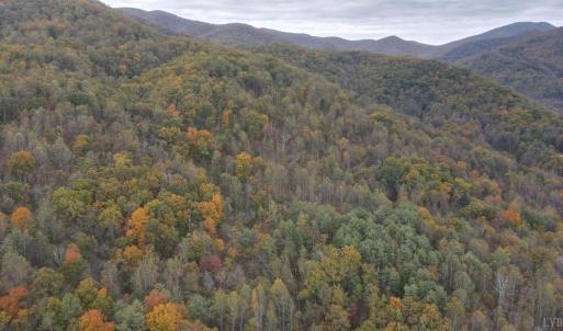 Photo #4 of North Fork, Amherst, VA 37.9 acres