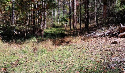 Photo #16 of North Fork, Amherst, VA 92.3 acres