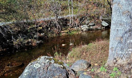 Photo #9 of North Fork, Amherst, VA 92.3 acres