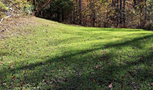 Photo #15 of North Fork, Amherst, VA 92.3 acres