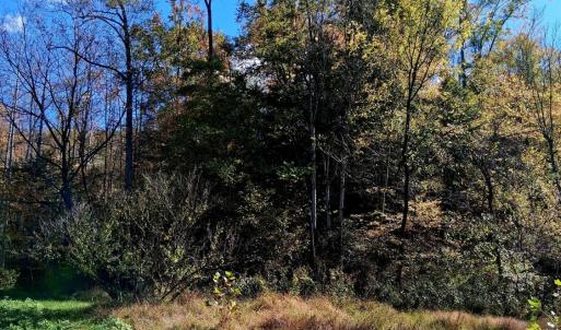 Photo #11 of North Fork, Amherst, VA 92.3 acres