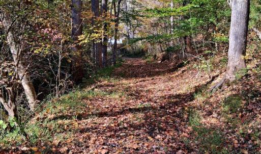 Photo #14 of North Fork, Amherst, VA 92.3 acres