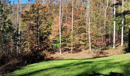 Photo #21 of North Fork, Amherst, VA 92.3 acres