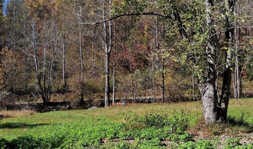 Photo #3 of North Fork, Amherst, VA 92.3 acres