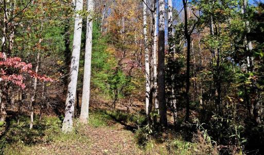 Photo #17 of North Fork, Amherst, VA 92.3 acres