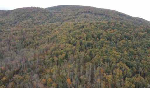 Photo #22 of North Fork, Amherst, VA 92.3 acres