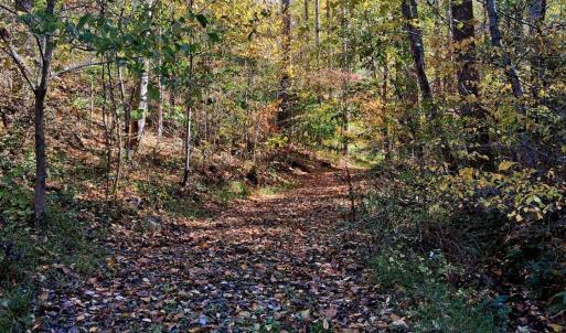 Photo #13 of North Fork, Amherst, VA 92.3 acres