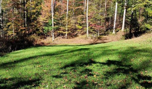 Photo #20 of North Fork, Amherst, VA 92.3 acres
