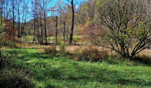 Photo #4 of North Fork, Amherst, VA 92.3 acres