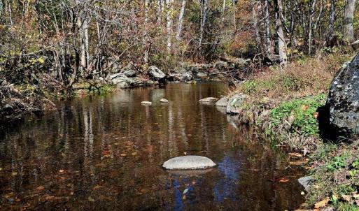 Photo #10 of North Fork, Amherst, VA 92.3 acres