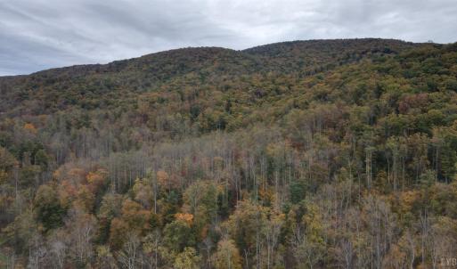 Photo #2 of North Forks Road, Amherst, VA 173.3 acres