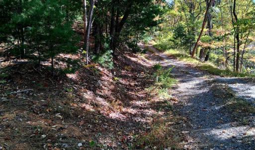 Photo #7 of North Forks Road, Amherst, VA 173.3 acres