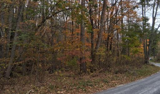 Photo #4 of North Forks Road, Amherst, VA 158.0 acres