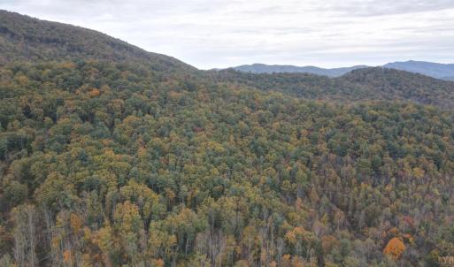 Photo #5 of North Forks Road, Amherst, VA 158.0 acres