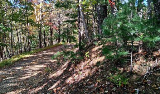 Photo #8 of North Forks Road, Amherst, VA 158.0 acres