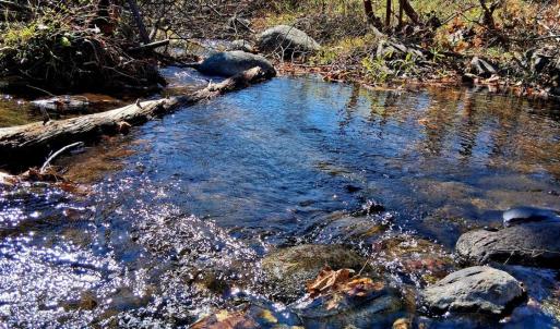 Photo #19 of North Forks Road, Amherst, VA 158.0 acres
