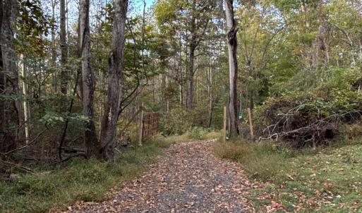 View from driveway looking towards Ramey Hodge Drive.