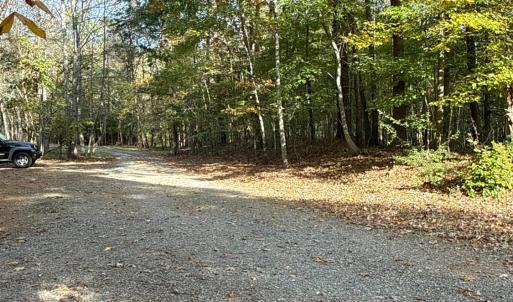 Photo #21 of 195 Ramey Hodge Drive, Martinsville, VA 11.0 acres