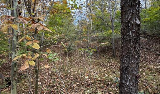 Photo #12 of 195 Ramey Hodge Drive, Martinsville, VA 11.0 acres