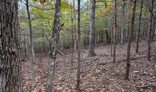 Photo #16 of 195 Ramey Hodge Drive, Martinsville, VA 11.0 acres