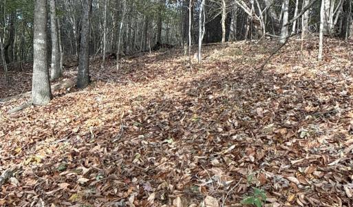 Photo #6 of 195 Ramey Hodge Drive, Martinsville, VA 11.0 acres