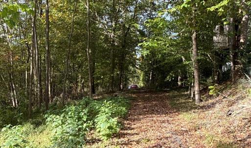 Photo #26 of 195 Ramey Hodge Drive, Martinsville, VA 11.0 acres