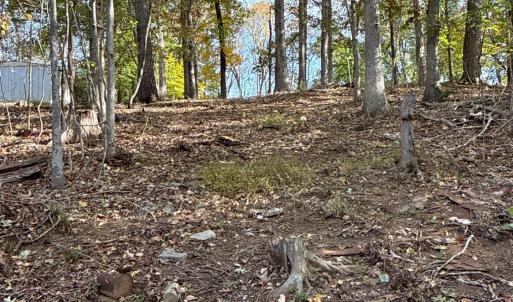 Photo #19 of 195 Ramey Hodge Drive, Martinsville, VA 11.0 acres