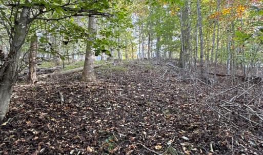 Photo #18 of 195 Ramey Hodge Drive, Martinsville, VA 11.0 acres