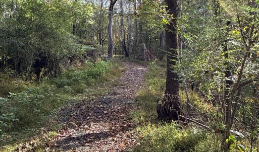 Photo #27 of 195 Ramey Hodge Drive, Martinsville, VA 11.0 acres